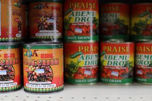 African King Palm Cream