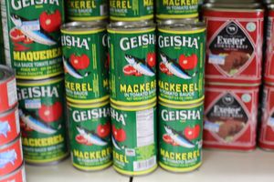 GEISHA