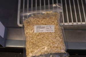 EGUSI